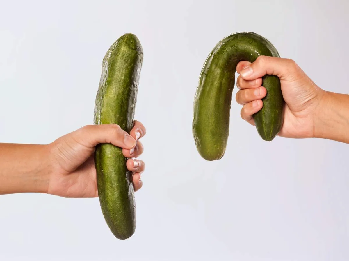 Two hands holding cucumbers, one firm and one bent, symbolizing the signs and symptoms of erectile dysfunction in Filipino men.